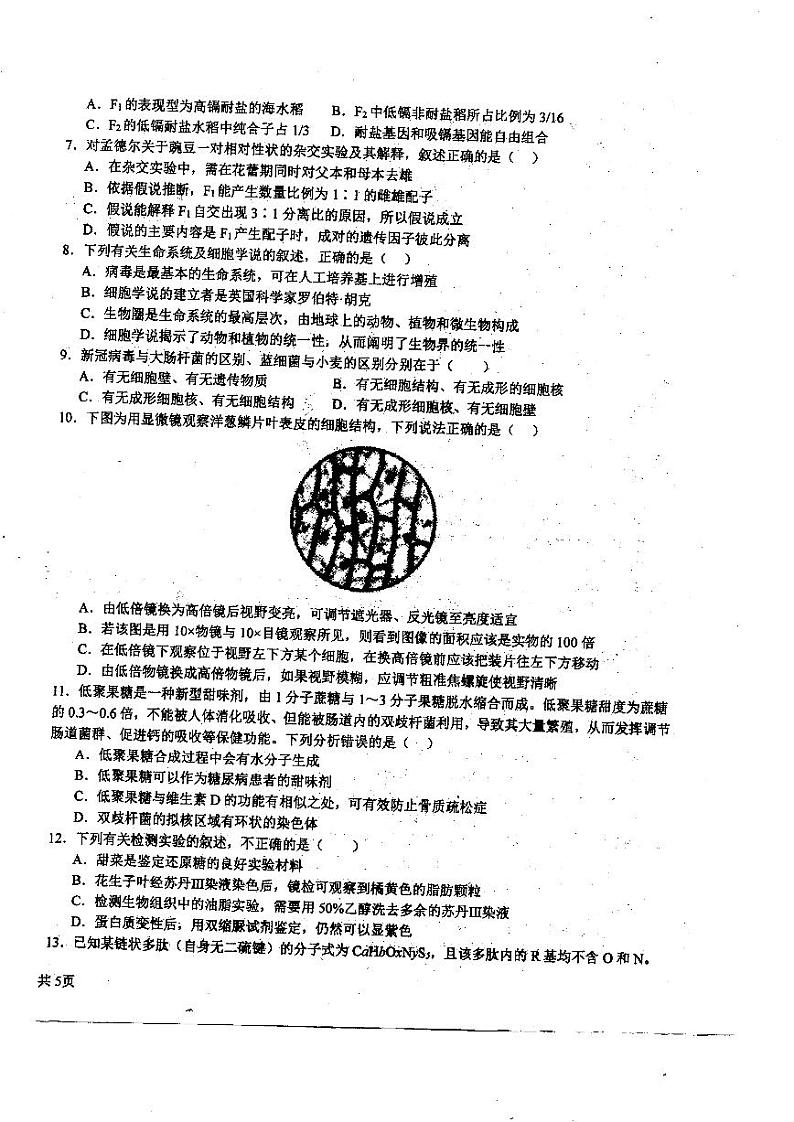 2024省哈尔滨师大附中高三上学期第二次调研考试生物PDF版无答案02