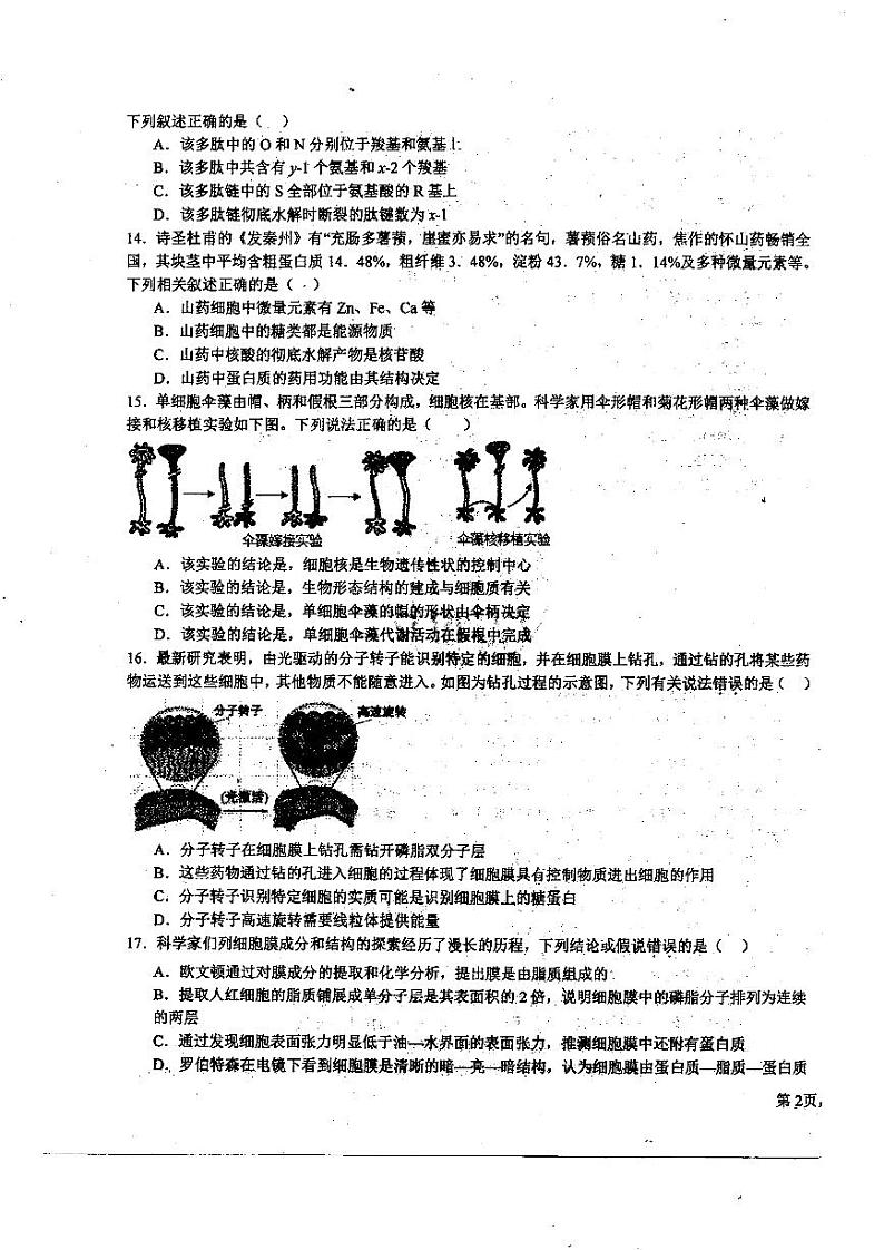 2024省哈尔滨师大附中高三上学期第二次调研考试生物PDF版无答案03