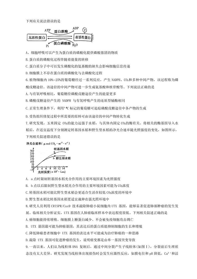 河南省平许济洛四市联考2023-2024学年高三上学期第一次质量检测生物第2页