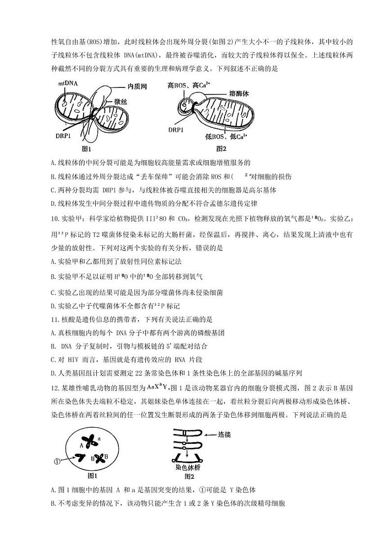 河南省平许济洛四市联考2023-2024学年高三上学期第一次质量检测生物第3页