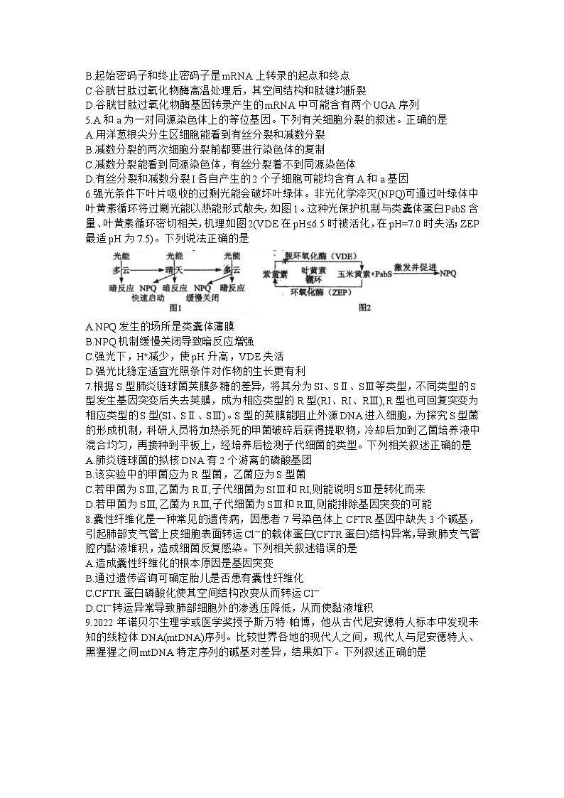 2024湖北省部分学校高三上学期10月联考试题生物含解析02