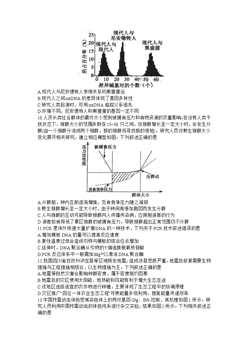 2024湖北省部分学校高三上学期10月联考试题生物含解析03