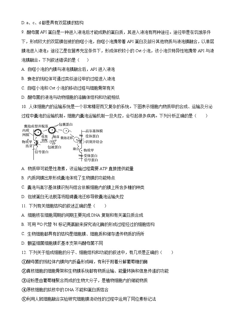 2024重庆市渝北中学高三9月月考生物试题含解析03
