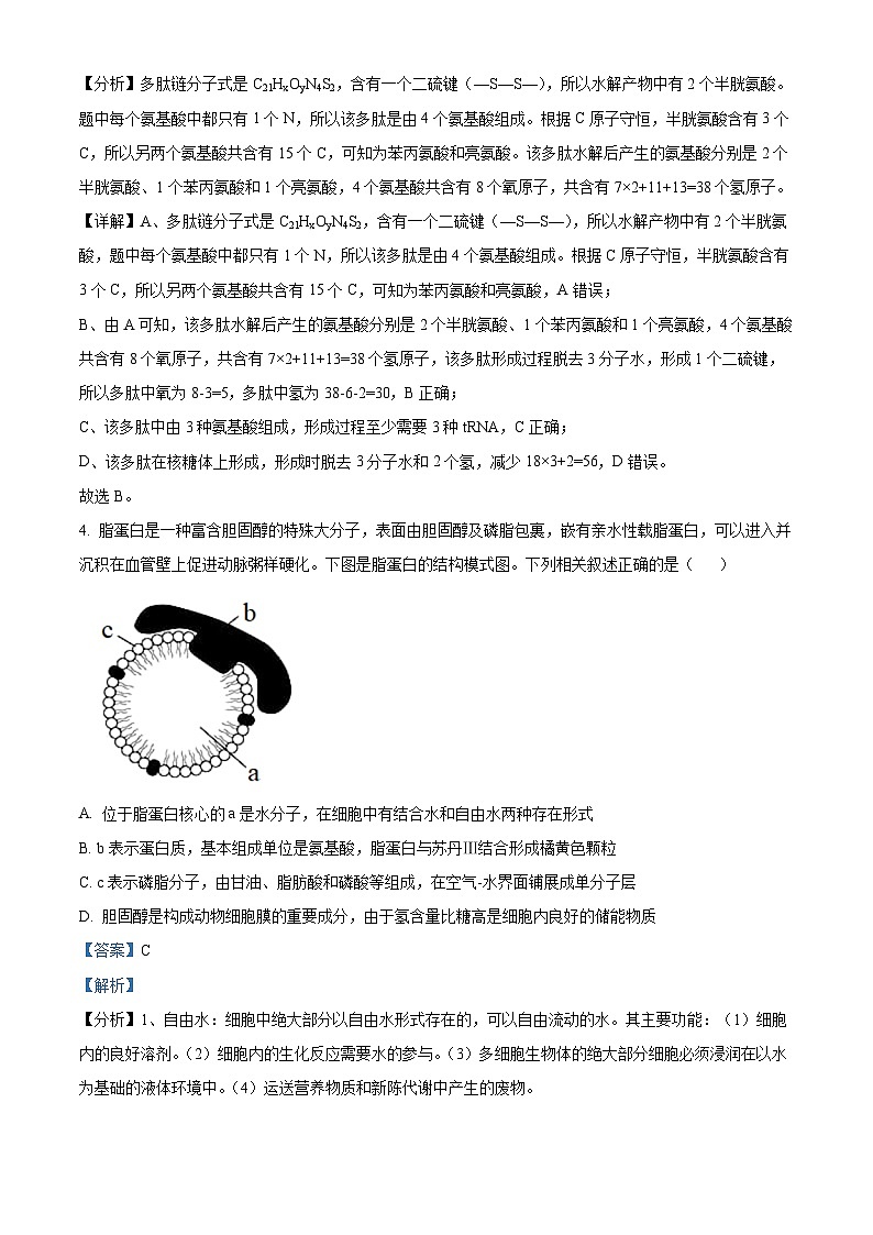 2024重庆市渝北中学高三9月月考生物试题含解析03