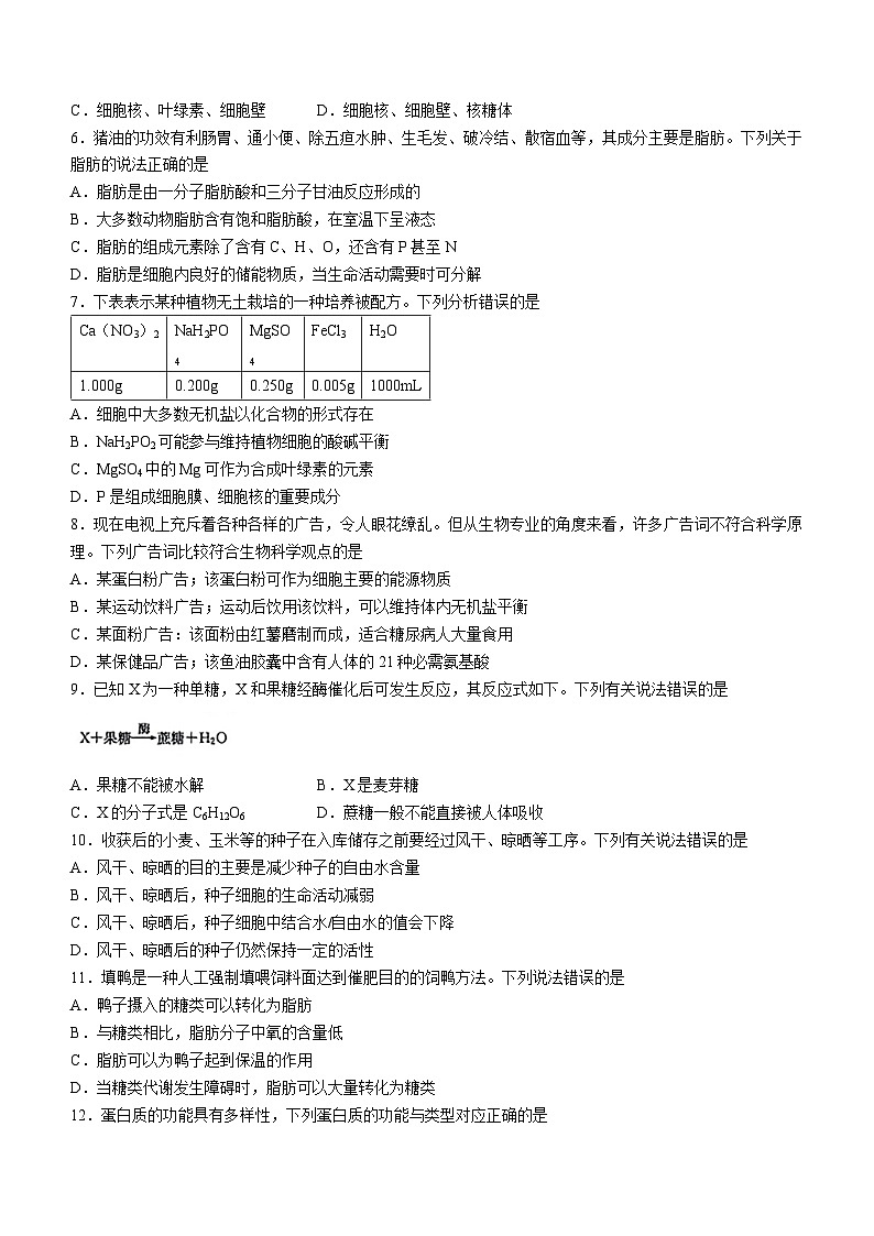 2024河北省高一上学期10月选科调考第一次联考试题生物含解析第2页