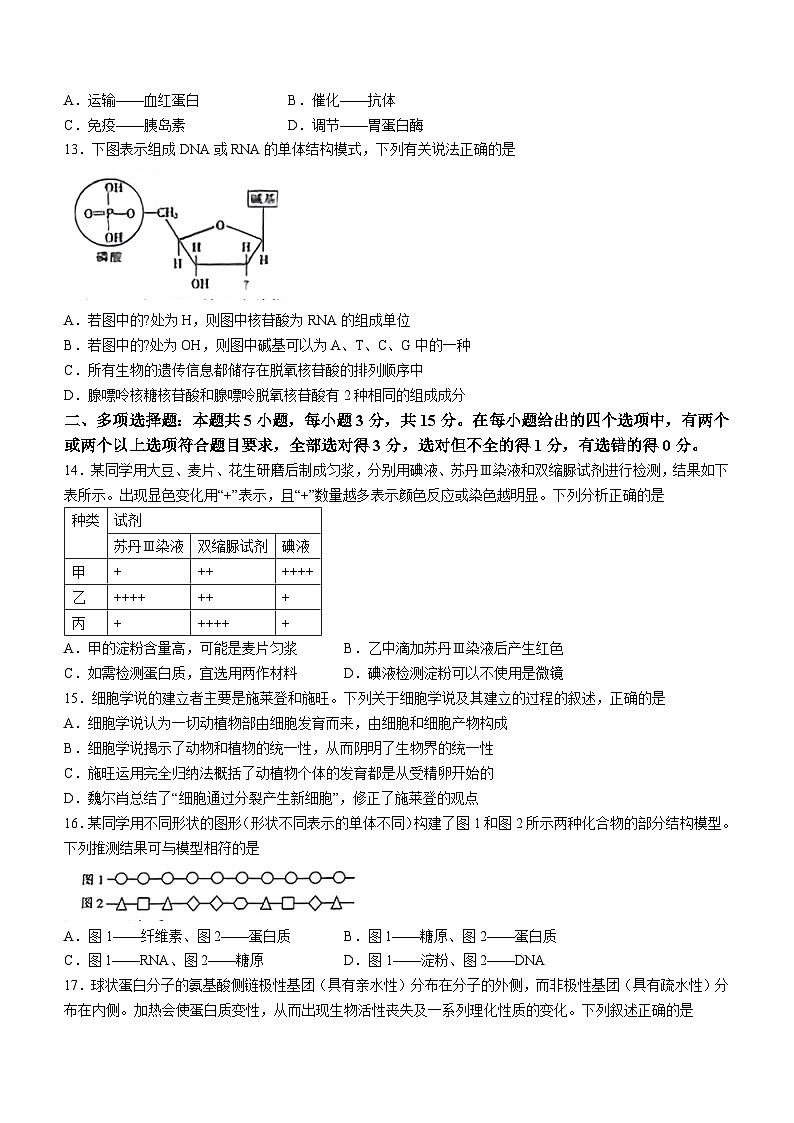 2024河北省高一上学期10月选科调考第一次联考试题生物含解析第3页