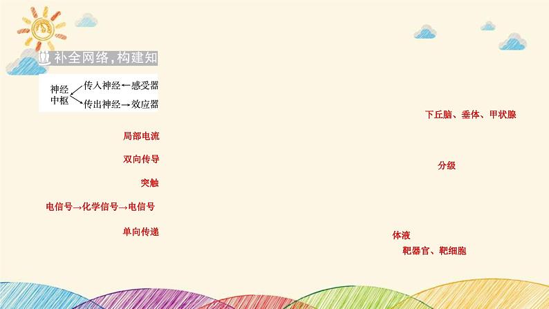 新高考生物二轮重点讲练课件：第9讲动物和人体生命活动的调节（含解析）第3页