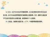 新高考生物二轮重点讲练课件：社会责任之微专题1细胞代谢与农业生产实践（含解析）