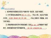 新高考生物二轮重点讲练课件：社会责任之微专题1细胞代谢与农业生产实践（含解析）