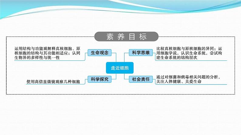 新高考生物一轮复习讲练课件：第1讲　走近细胞（含解析）第2页