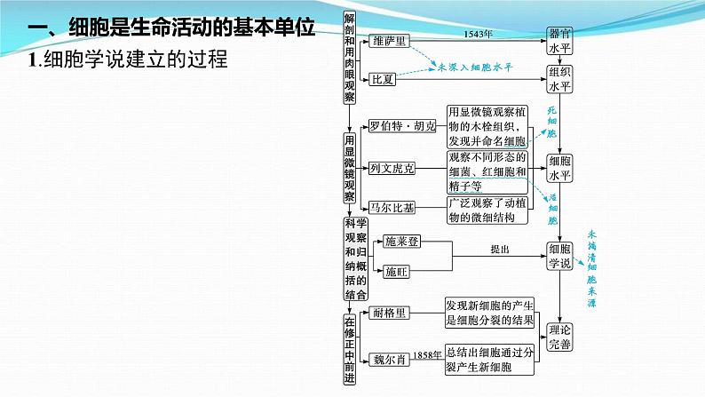 新高考生物一轮复习讲练课件：第1讲　走近细胞（含解析）第3页