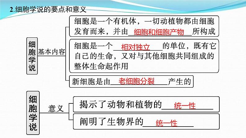 新高考生物一轮复习讲练课件：第1讲　走近细胞（含解析）第4页