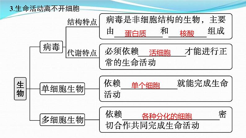 新高考生物一轮复习讲练课件：第1讲　走近细胞（含解析）第5页