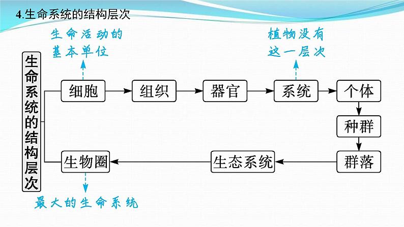 新高考生物一轮复习讲练课件：第1讲　走近细胞（含解析）第6页