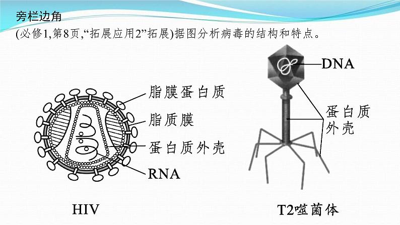 新高考生物一轮复习讲练课件：第1讲　走近细胞（含解析）第8页