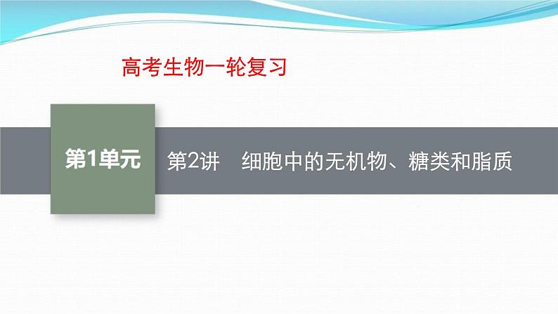 新高考生物一轮复习讲练课件：第2讲　细胞中的无机物、糖类和脂质（含解析）01