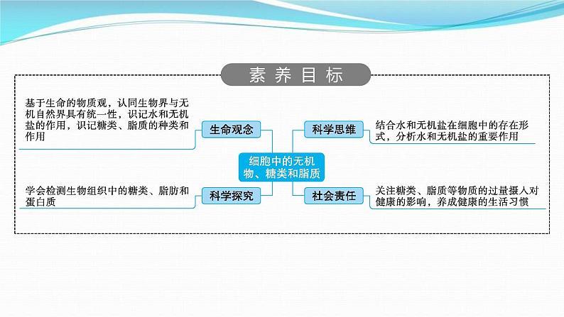 新高考生物一轮复习讲练课件：第2讲　细胞中的无机物、糖类和脂质（含解析）02