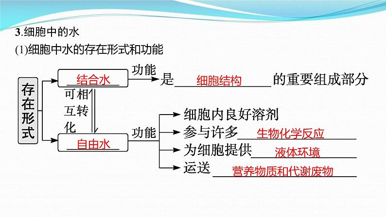 新高考生物一轮复习讲练课件：第2讲　细胞中的无机物、糖类和脂质（含解析）05