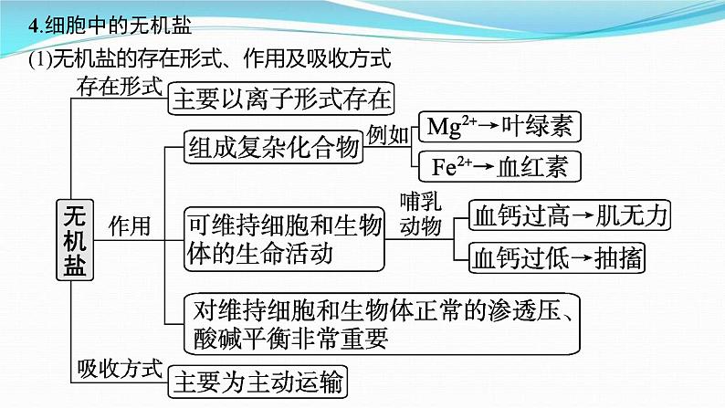 新高考生物一轮复习讲练课件：第2讲　细胞中的无机物、糖类和脂质（含解析）07