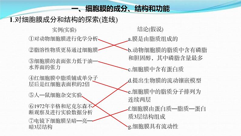 新高考生物一轮复习讲练课件：第4讲　细胞膜和细胞核（含解析）03