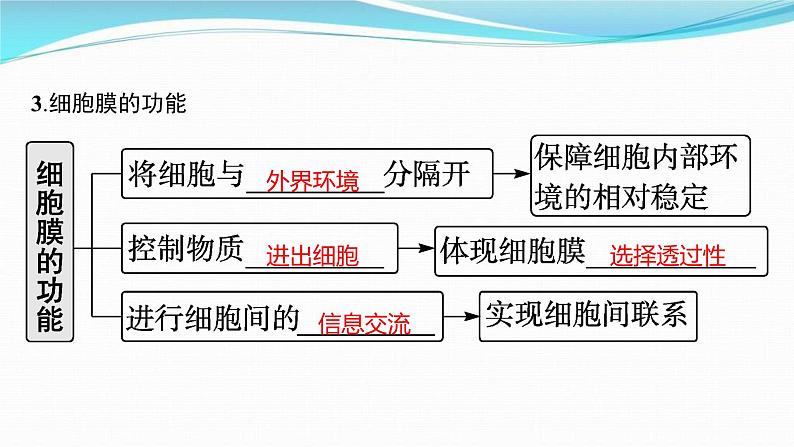 新高考生物一轮复习讲练课件：第4讲　细胞膜和细胞核（含解析）06