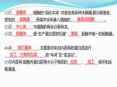 新高考生物一轮复习讲练课件：第5讲　细胞器与生物膜系统（含解析）