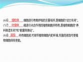 新高考生物一轮复习讲练课件：第5讲　细胞器与生物膜系统（含解析）
