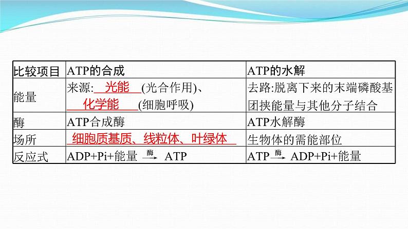 新高考生物一轮复习讲练课件：第8讲　ATP与细胞呼吸（含解析）第6页