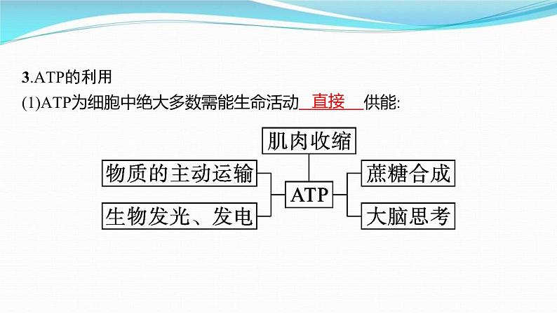 新高考生物一轮复习讲练课件：第8讲　ATP与细胞呼吸（含解析）第8页