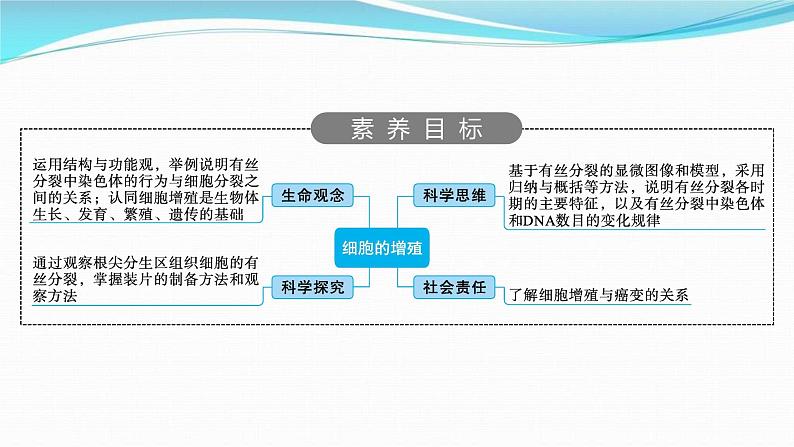 新高考生物一轮复习讲练课件：第11讲　细胞的增殖（含解析）第2页