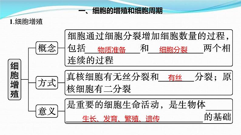 新高考生物一轮复习讲练课件：第11讲　细胞的增殖（含解析）第3页