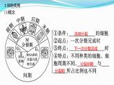 新高考生物一轮复习讲练课件：第11讲　细胞的增殖（含解析）