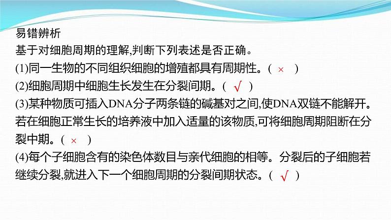 新高考生物一轮复习讲练课件：第11讲　细胞的增殖（含解析）第8页