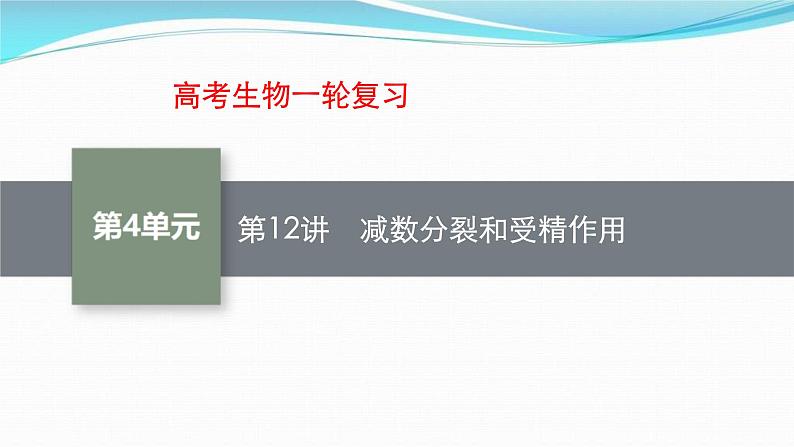 新高考生物一轮复习讲练课件：第12讲　减数分裂和受精作用（含解析）01