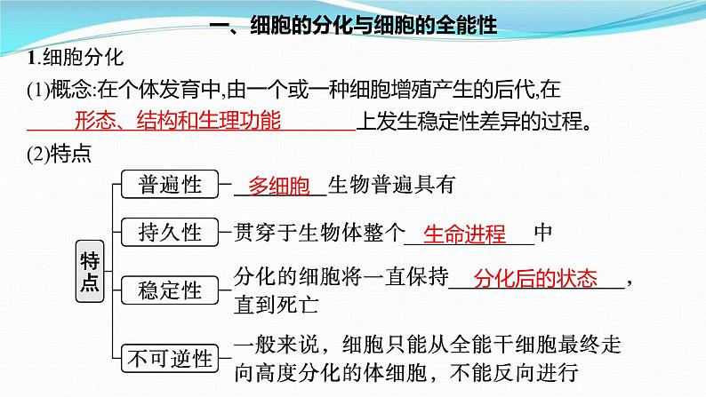 新高考生物一轮复习讲练课件：第13讲　细胞的分化、衰老和死亡（含解析）04