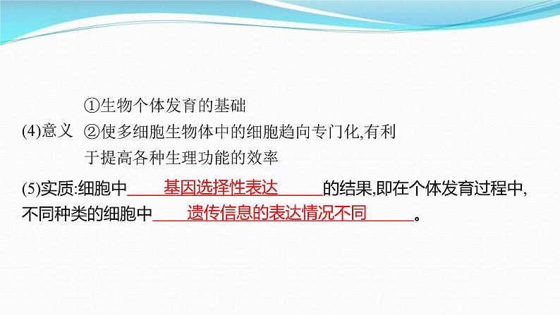 新高考生物一轮复习讲练课件：第13讲　细胞的分化、衰老和死亡（含解析）06