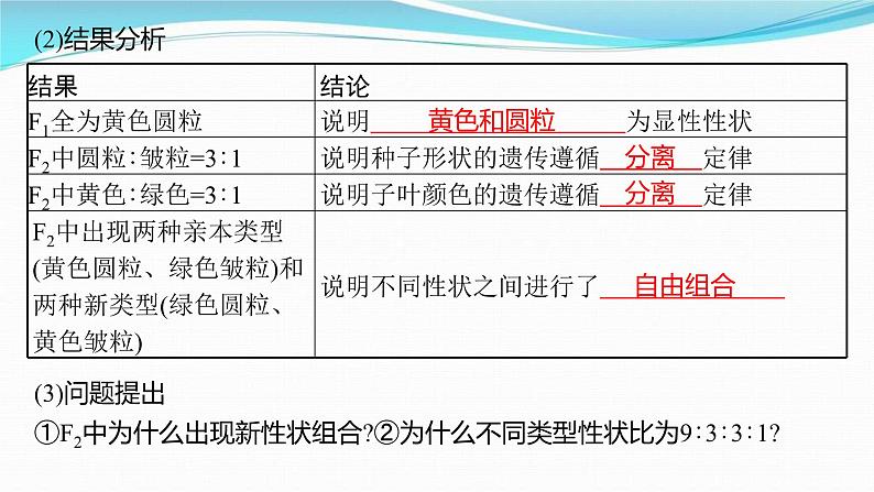 新高考生物一轮复习讲练课件：第15讲　孟德尔的豌豆杂交实验(二)（含解析）05