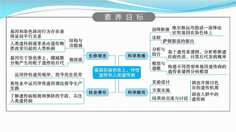 新高考生物一轮复习讲练课件：第16讲　基因在染色体上、伴性遗传和人类遗传病（含解析）第2页