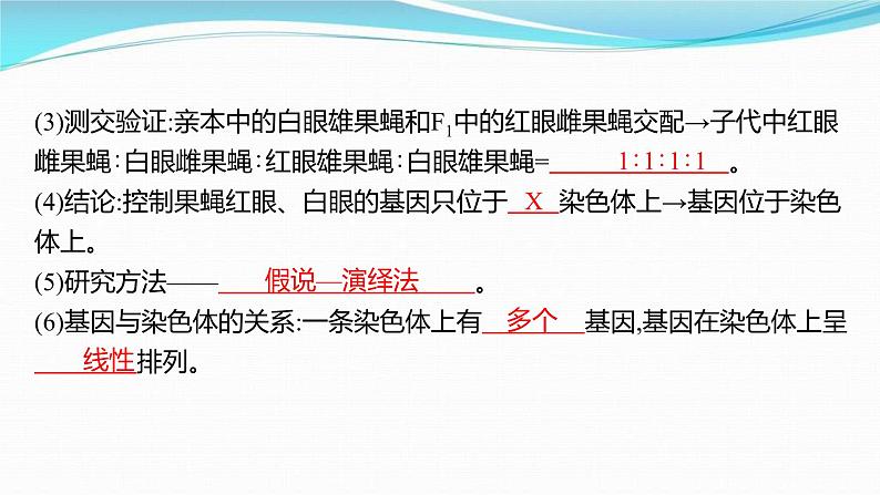 新高考生物一轮复习讲练课件：第16讲　基因在染色体上、伴性遗传和人类遗传病（含解析）第7页