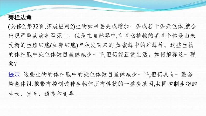 新高考生物一轮复习讲练课件：第16讲　基因在染色体上、伴性遗传和人类遗传病（含解析）第8页