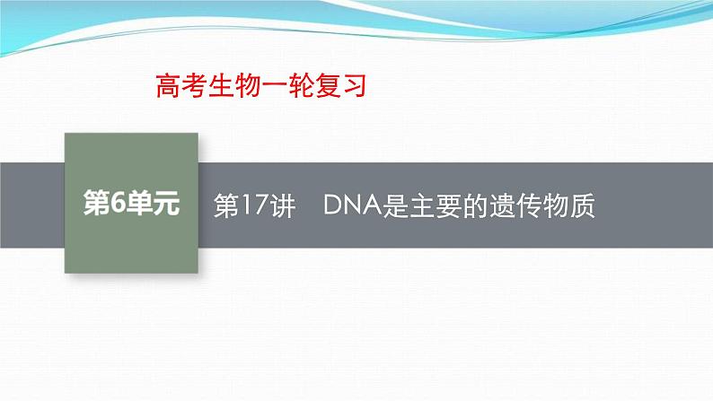 新高考生物一轮复习讲练课件：第17讲　DNA是主要的遗传物质（含解析）01