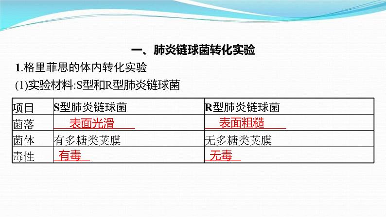 新高考生物一轮复习讲练课件：第17讲　DNA是主要的遗传物质（含解析）03