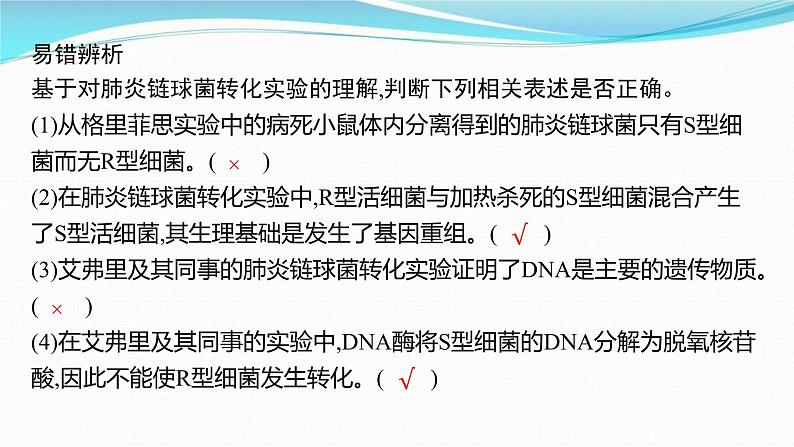 新高考生物一轮复习讲练课件：第17讲　DNA是主要的遗传物质（含解析）08