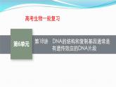 新高考生物一轮复习讲练课件：第18讲　DNA的结构和复制基因通常是有遗传效应的DNA片段（含解析）