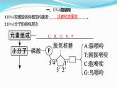 新高考生物一轮复习讲练课件：第18讲　DNA的结构和复制基因通常是有遗传效应的DNA片段（含解析）