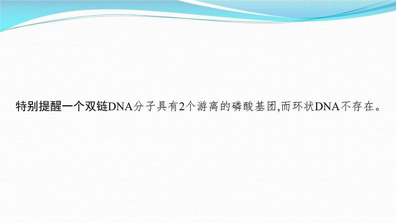 新高考生物一轮复习讲练课件：第18讲　DNA的结构和复制基因通常是有遗传效应的DNA片段（含解析）05