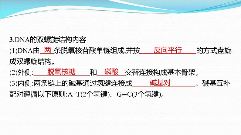 新高考生物一轮复习讲练课件：第18讲　DNA的结构和复制基因通常是有遗传效应的DNA片段（含解析）06