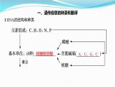 新高考生物一轮复习讲练课件：第19讲　基因的表达（含解析）