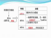 新高考生物一轮复习讲练课件：第19讲　基因的表达（含解析）