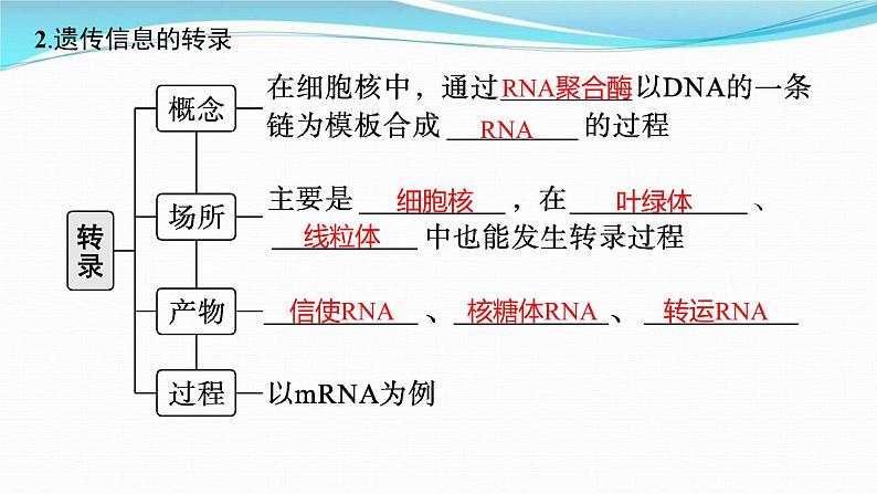 新高考生物一轮复习讲练课件：第19讲　基因的表达（含解析）05